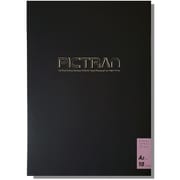 ピクトラン ヘアライン A2 10枚入り DFF-HL-A2-10