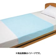 102135 [パイルシーツ 水色 2枚入]
