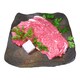 松阪牛すき焼 （バラ肉・肩肉計300g） [冷凍品]