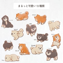 ココロの積み木 豆柴