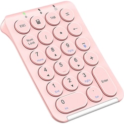 ワイヤレステンキー ピンク ICKP08PI