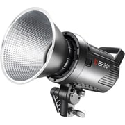 LEDライト EF-80BI J105