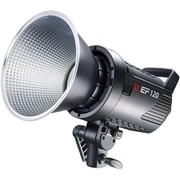 LEDライト EF-120 J106