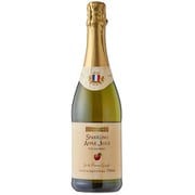 パストデコ スパークリングアップルジュース 750ml