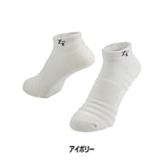 アンチバクテリア2Pソックス アイボリー