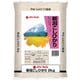 新潟県産 コシヒカリ 2kg 令和6年産