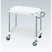 CSP-6062LW [CSパールワゴン 軽量タイプ/均等耐荷重100kg/ゴム車/H600mm/2段/移動式 W600×D400×H600mm]