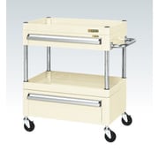CSP-6072AC2I [CSパールワゴン 中量タイプ/均等耐荷重120kg/ゴム車/H740mm/2段/移動式/引出し付 W600×D400×H740mm]