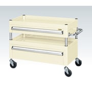 CSP-7572AC2SEI [CSパールワゴン 中量タイプ/均等耐荷重120kg/サイレントエラストマー車/H740mm/2段/移動式/引出し付 W750×D500×H740mm]