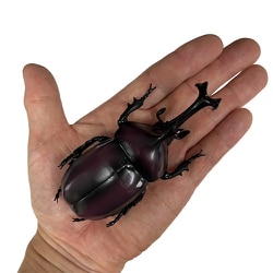 ヨドバシ.com - ミュージアム 昆虫フィギュア カブトムシ 通販