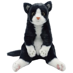 すわっちぃ Zoo ぬいぐるみ にゃんこ ハチワレ