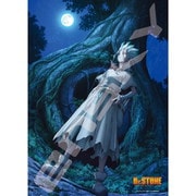 500-546 Dr.STONE NEW WORLD [ジグソーパズル 500ピース]