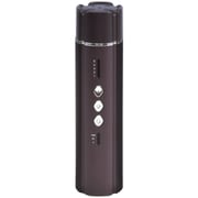 コンパクト美顔器 スティックモイスチャー EMS/RF温感(ラジオ波)/LED赤 自動OFF機能搭載 USB-C充電 beapro22