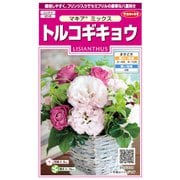トルコギキョウ マキア ミックス 1袋