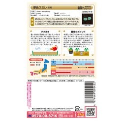 ヨドバシ.com - サカタのタネ 夢色スミレ 恋桜50粒 通販【全品無料配達】