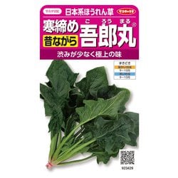 ホウレンソウ 寒締め吾郎丸ほうれん草 1袋
