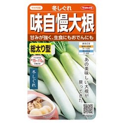 ダイコン 味自慢大根 冬しぐれ 1袋