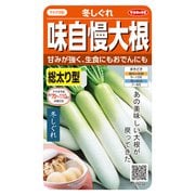 ダイコン 味自慢大根 冬しぐれ 1袋