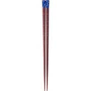 塗箸 スターライン 21cm カシオペア座