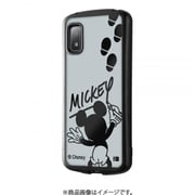 IN-DAQL1TC13B/MK13 [AQUOS wish3 METAMORU/ミッキーマウス]