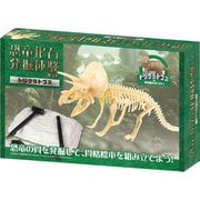 恐竜発掘キット トリケラトプス
