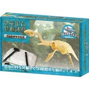 恐竜発掘キット プレシオサウルス