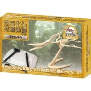 恐竜発掘キット プテラノドン