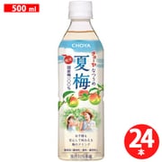 【限定】 チョーヤ夏梅 500ml×24本（ケース） [清涼飲料水]