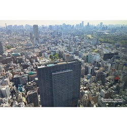 300-328 シリーズ・日本の都市 10 東京都新宿区「歌舞伎町」 [ジグソーパズル 300ピース]