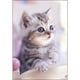 300-034 PRETTY PET おはよ♪ [ジグソーパズル 300ピース]