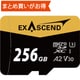 Catalyst UHS-I microSD card（V30） 256GB EX256GUSDU1