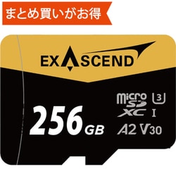 Catalyst UHS-I microSD card（V30） 256GB EX256GUSDU1