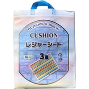 PS-30 [クッションシート 手さげバッグ付 3畳 天の川]
