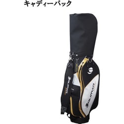 ヨドバシ.com - オリマー ORLIMAR ORM-800 メンズ ゴルフクラブ 10本 