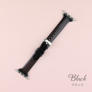 IQ-AW025B41-BK [Apple Watch 41/40/38mm クリア スリムベルト （025） ブラック]