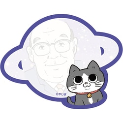 限定 ダイカット付箋 ねこに転生したおじさん U S2841371