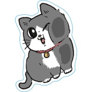 限定 ポストカード ねこに転生したおじさん PB S8906874