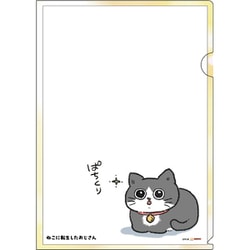 ヨドバシ.com - サンスター文具 sun-star 限定 ファイル ねこに