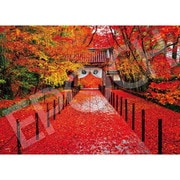 06-302s 日本の風景 深秋の光明寺 - 京都 [ジグソーパズル 500ピース]