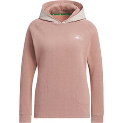 HY0846 [バックグラフィック フリース 長袖プルオーバーフーディー レディース J/L ワンダークレイ]