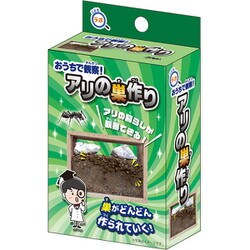 こどもラボ おうちで観察！ アリの巣作り [対象年齢：6歳～]