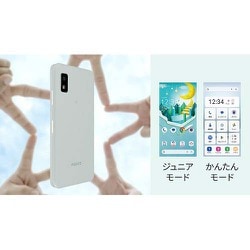 ヨドバシ.com - シャープ SHARP SH-M25 [AQUOS wish3/5.7インチ