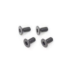 ZC-F25A [FHソケットスクリュー M2×5mm 4本入]