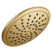 Moen つや消しゴールド 単機能 8インチ径 エコパフォーマンス スプレーヘッド レインシャワー Moen 6345EPBG