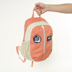 ヨドバシ.com - ヘリーハンセン HELLY HANSEN スカルスティン