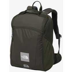 THE NORTH FACE 最大41%☆6/22限定 特典付 日本正規品 ザ