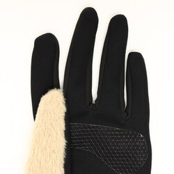 ノースフェイス デナリイーチップグローブ NN62312(ケルプタン)Lサイズ 楽天市場】THE NORTH FACE ザ・ノース・フェイス デナリイー