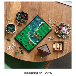 ヨドバシ.com - LEGO レゴ 10315 LEGO（レゴ） アイコン 禅ガーデン