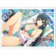 シノビマスター 閃乱カグラ NEW LINK スリーブ 斑鳩/伝説爆乳祭 [キャラクターグッズ]