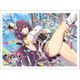 シノビマスター 閃乱カグラ NEW LINK スリーブ 紫/双乳祭 [キャラクターグッズ]